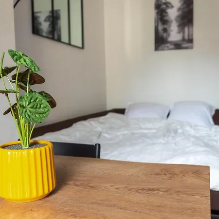 2 Pièces Chic Et Cosy à Paris